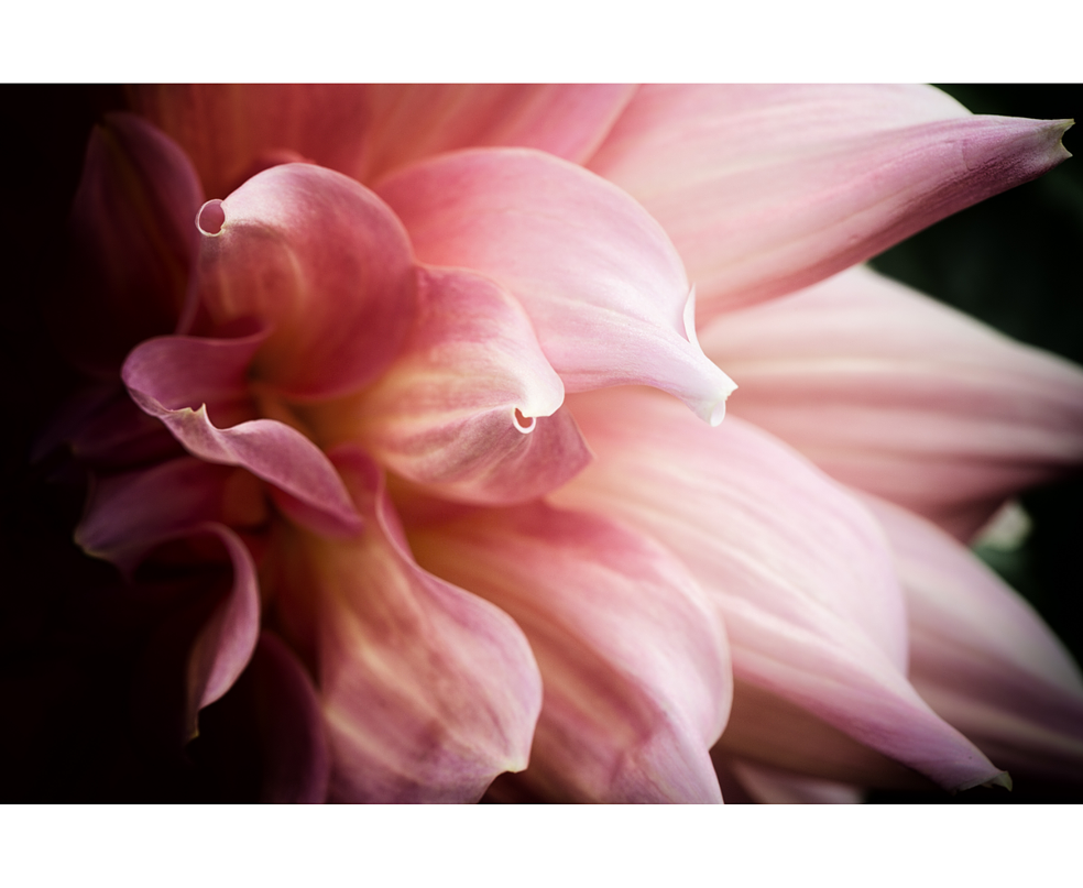 Hormonireset by Yoga Flow & Wellness Wilen